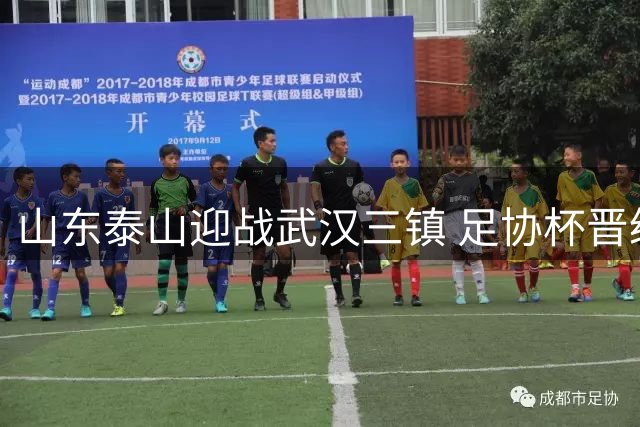 山东泰山迎战武汉三镇 足协杯晋级之路悬念何在
